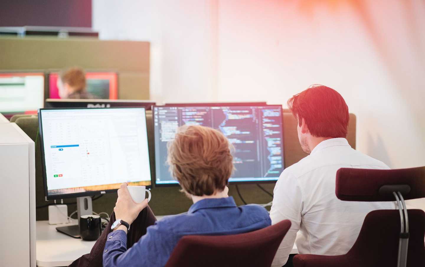 Two colleagues squashing bugs